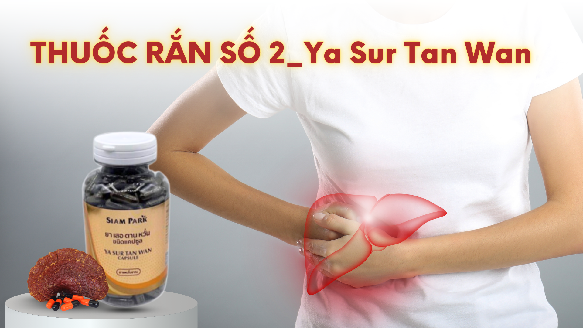 Thuốc rắn số 2  Ya Sur Tan Wan Capsule - điều hoà huyết áp giảm đột quỵ