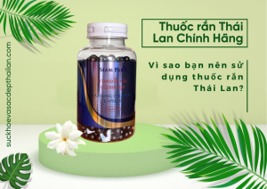 Vì sao thuốc rắn Thái Lan Ya Flong Chur Wan được nhiều người săn đón?